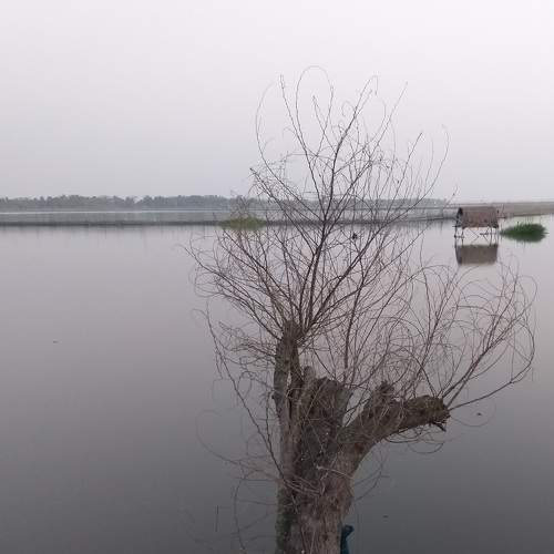 Photo #7539123
