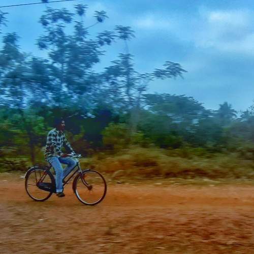 Photo #7539246