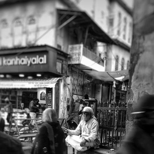 Photo #7539838