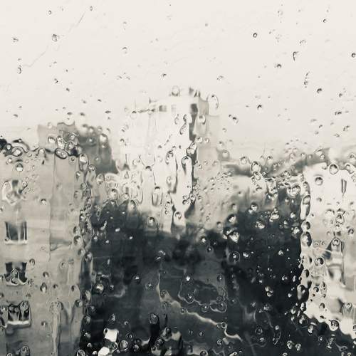 Photo #7539850