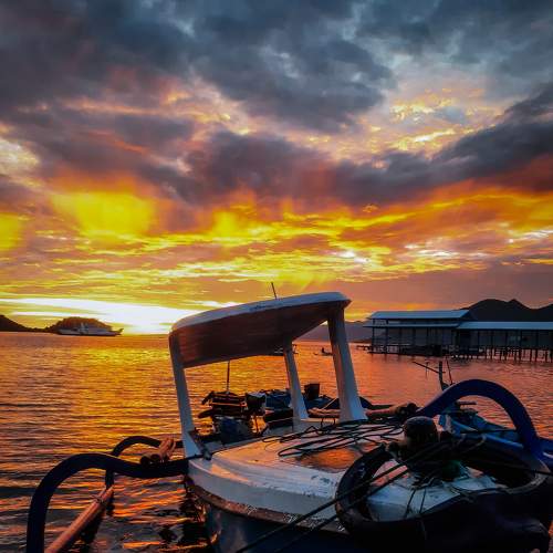 Photo #7540020