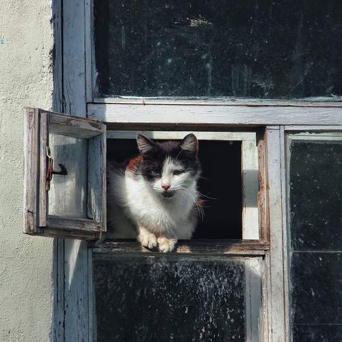Photo #7540068
