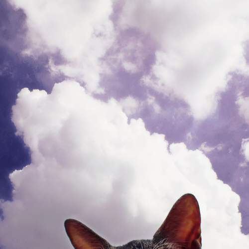 Photo #7540146