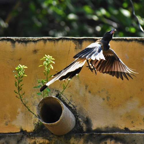 Photo #7540159