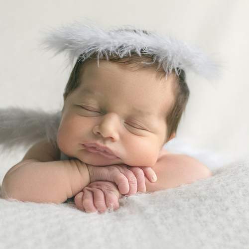 Photo #7540168