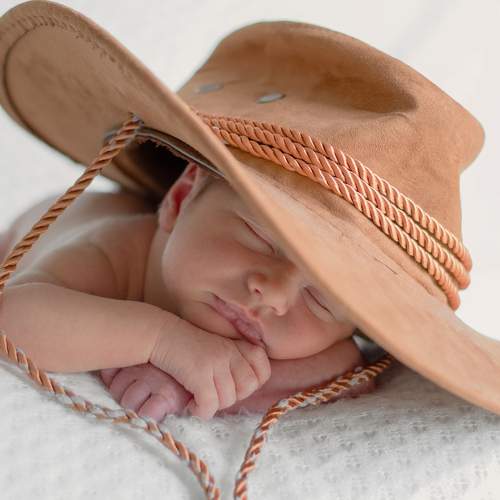 Photo #7540170