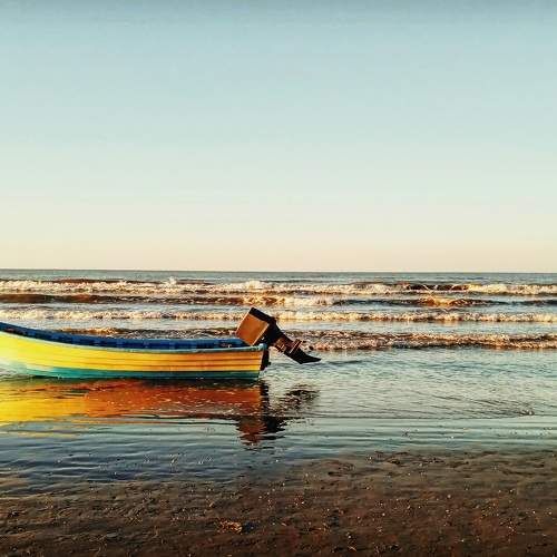 Photo #7540294