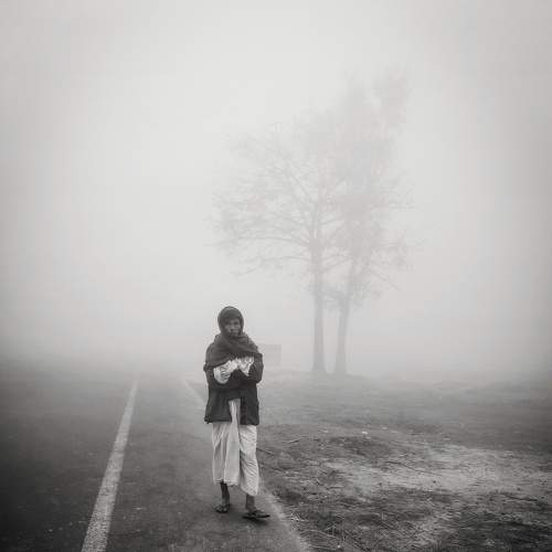 Photo #7540372
