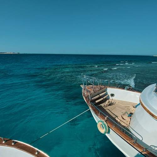 Photo #7540635