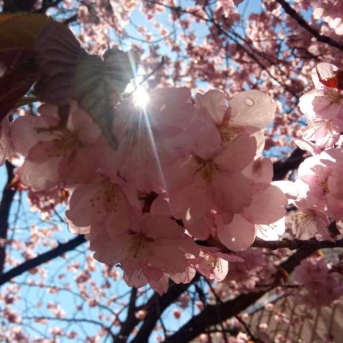 Photo #7540744