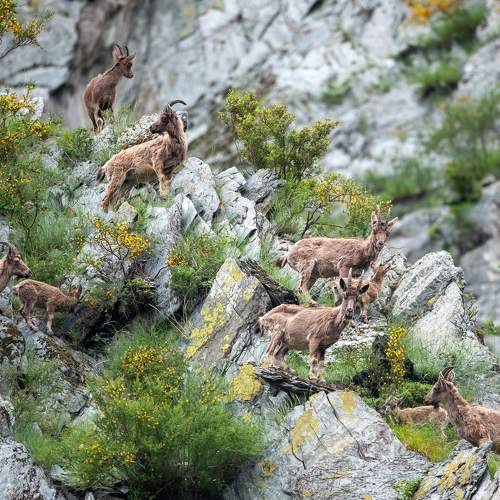 Photo #7540793