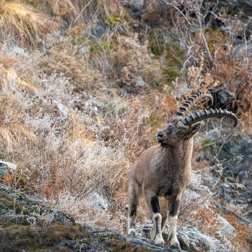 Photo #7540795
