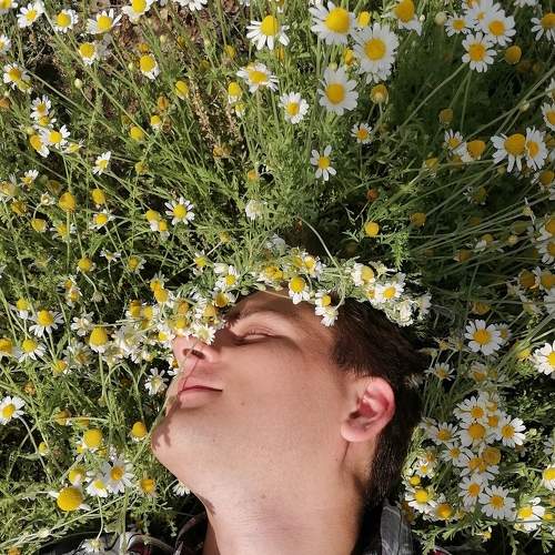 Photo #7540853