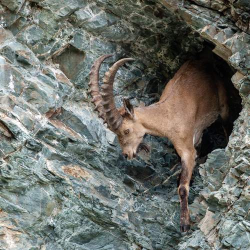 Photo #7540879