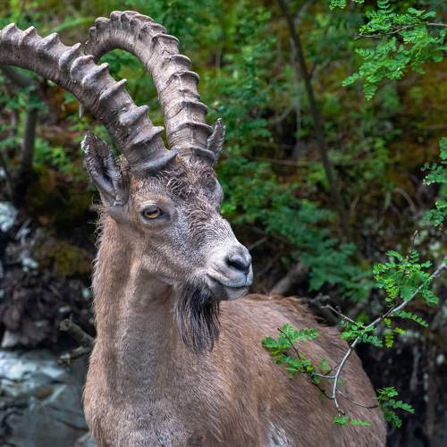 Photo #7540943