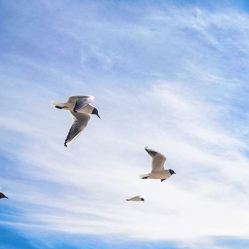 Photo #7541015