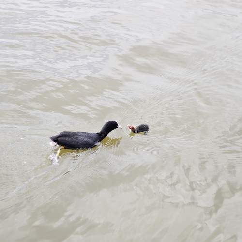 Photo #7541063