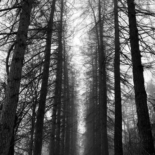 Photo #7541252