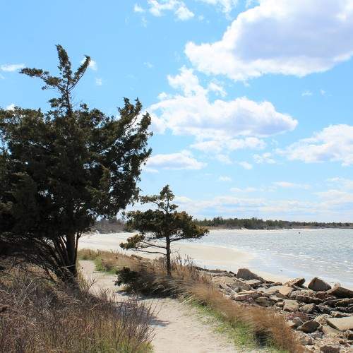 Photo #7541749