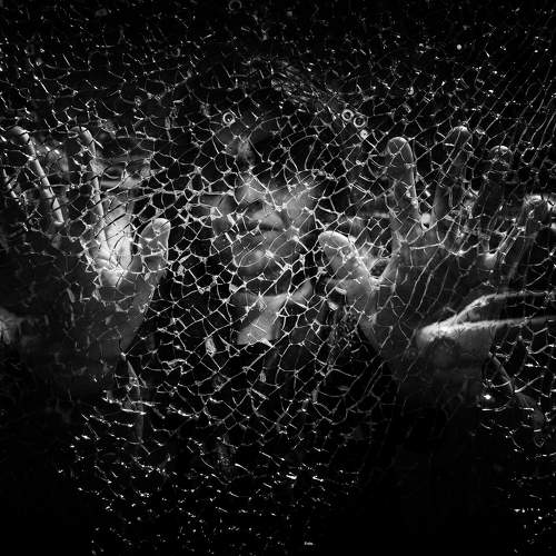 Photo #7541913