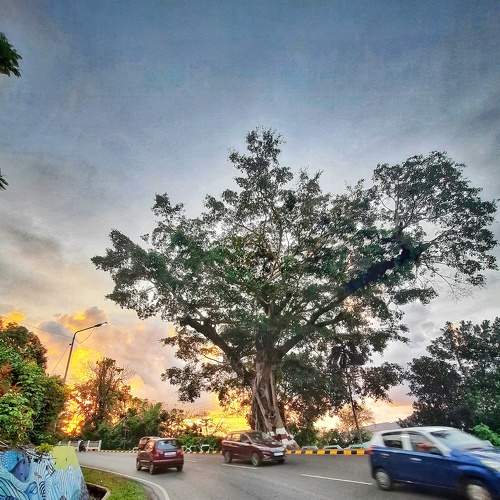 Photo #7542249