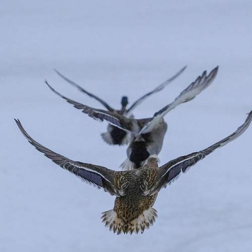 Фотография #7542619