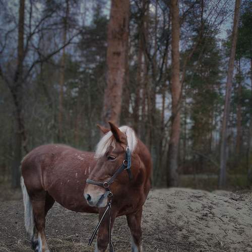 Photo #7542693