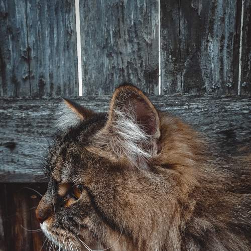 Photo #7543057