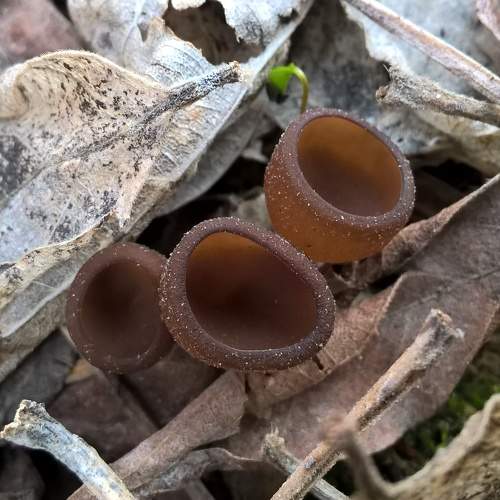 Photo #7543257