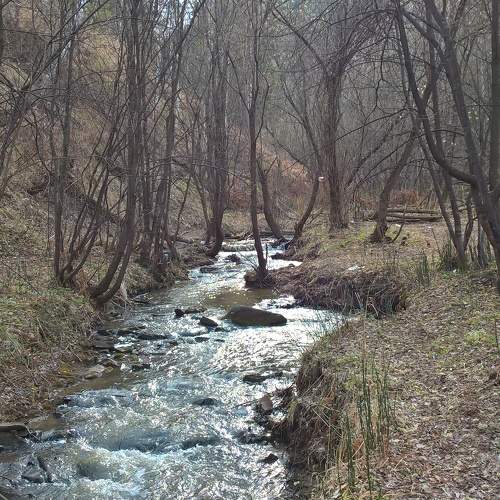 Photo #7543260
