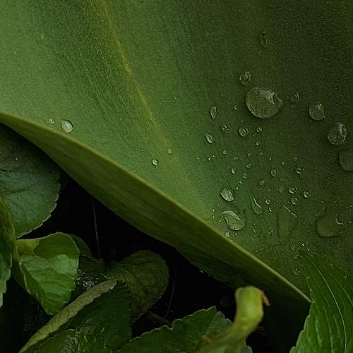 Photo #7543422