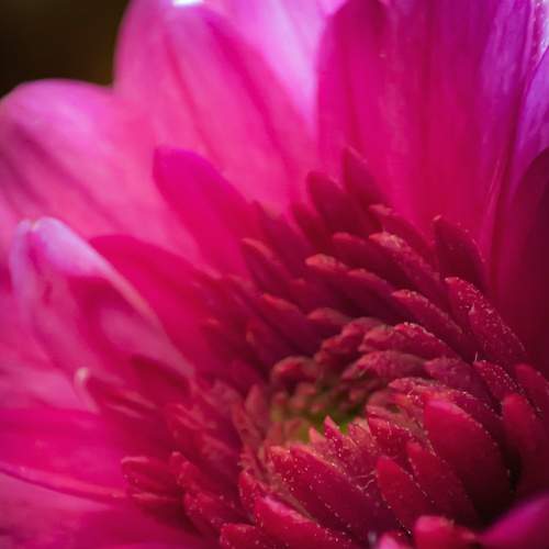 Photo #7543570
