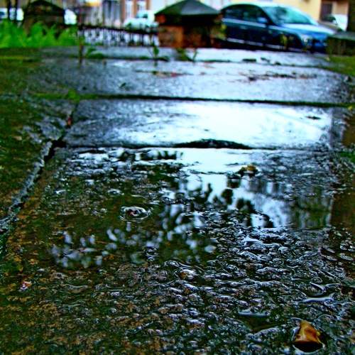 Photo #7543587