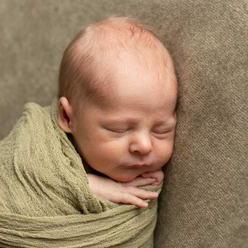 Photo #7544064