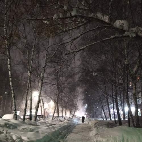 Photo #7544614