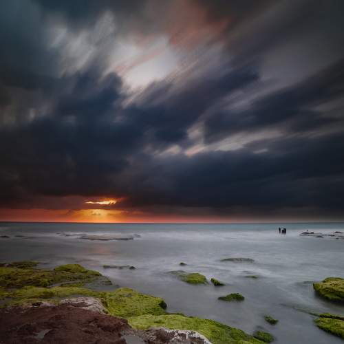 Photo #7544760