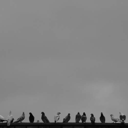 Photo #7544836