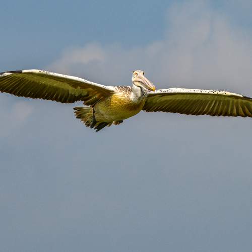 Photo #7544975
