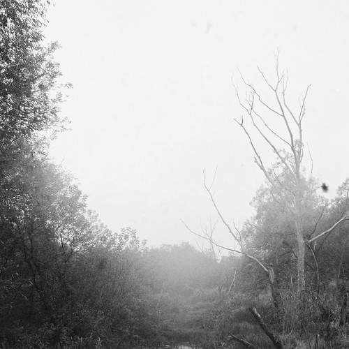Photo #7544980