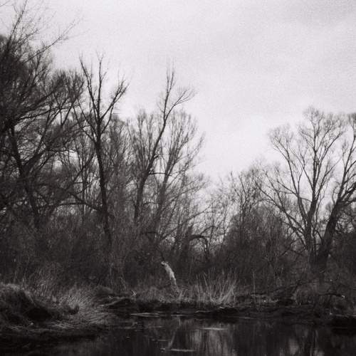 Photo #7544981