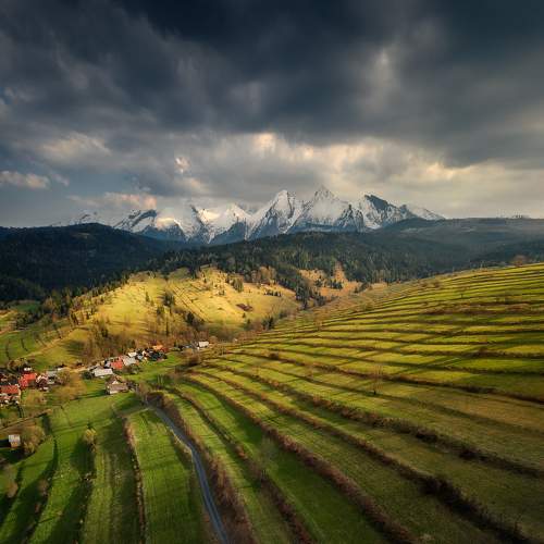 Photo #7545023