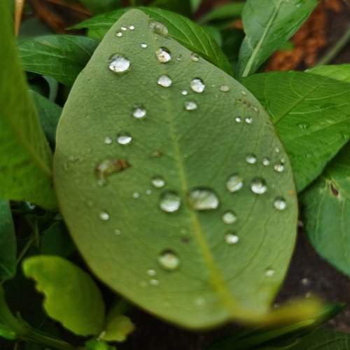 Photo #7545434