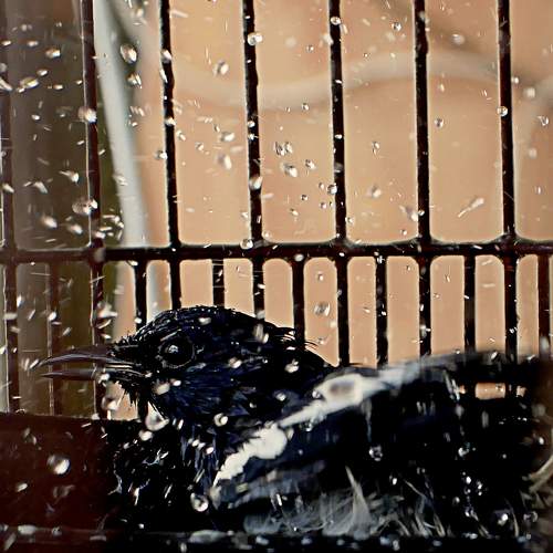 Photo #7545449
