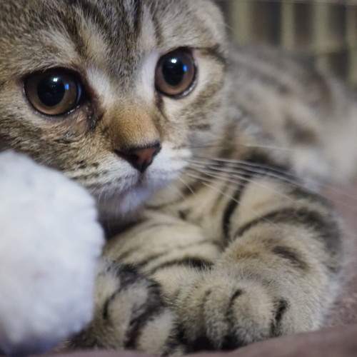 Photo #7545509