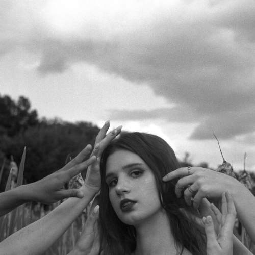 Photo #7545531