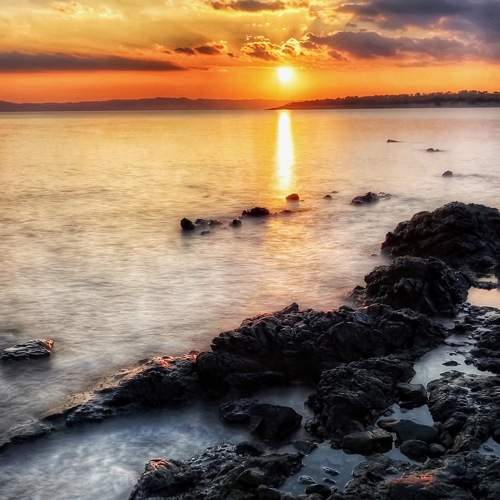 Photo #7545856