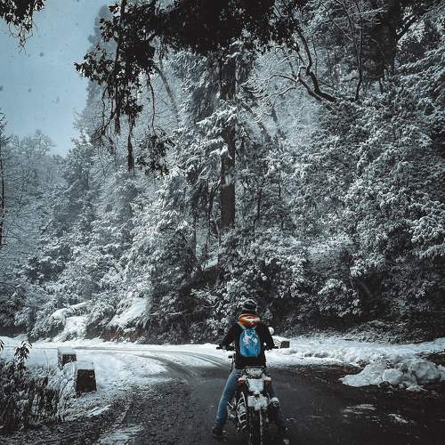 Photo #7545941