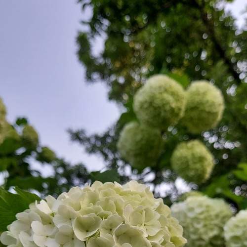Photo #7545949