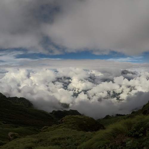 Photo #7545955