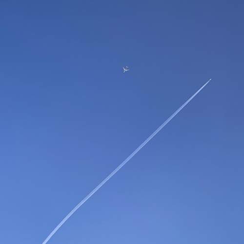 Photo #7547161